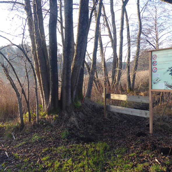 Schild von ForstBW am Ufer des Niklassees bei leichtem Nebel