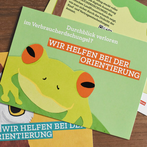 Postkarten mit verschiedenen Motiven: Frosch, Eule und Rückseite